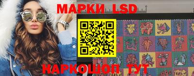 индика Малгобек
