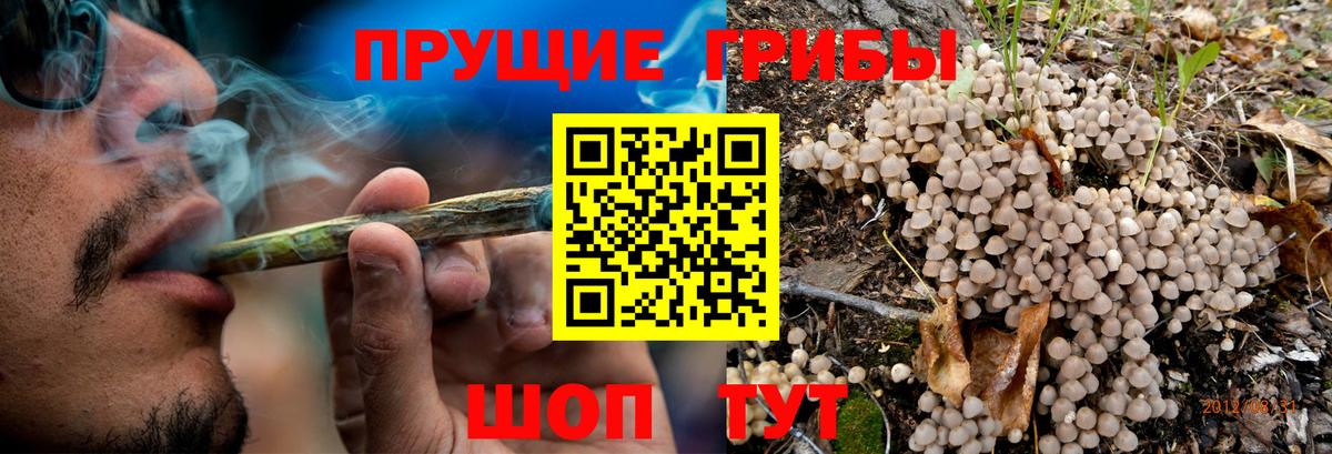 Псилоцибиновые грибы MAGIC MUSHROOMS Черкесск