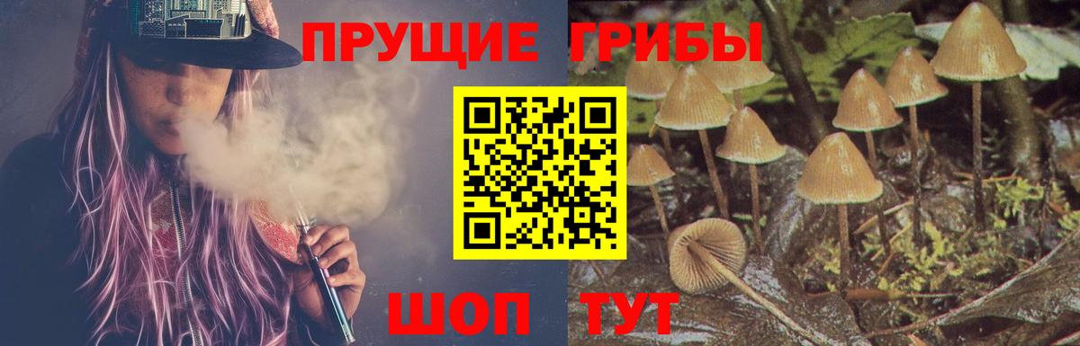 наркошоп  Галлюциногенные грибы Psilocybe  Вход с VPN  Псилоцибиновые грибы Cubensis  Черкесск 
